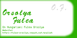 orsolya fulea business card